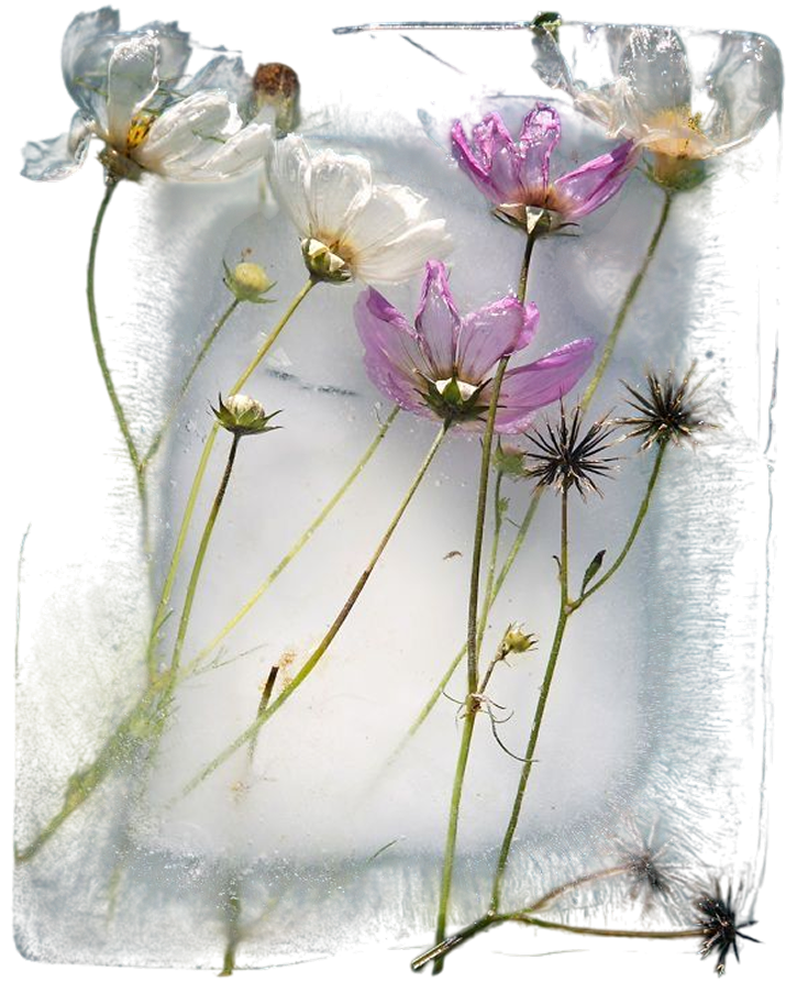 Delicate flowers in resin